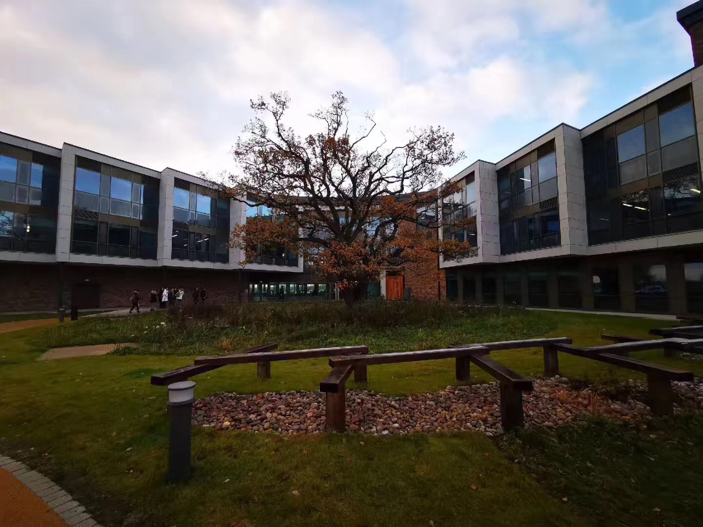 英国约克大学专业