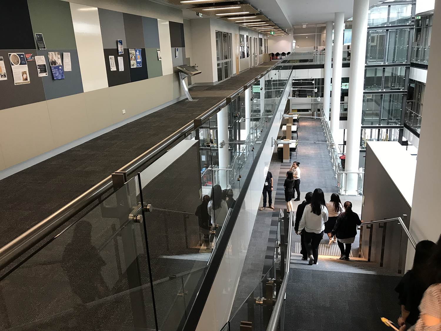 澳大利亚纽卡斯尔大学医学院
