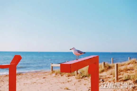 斯威本科技大学雅思分数