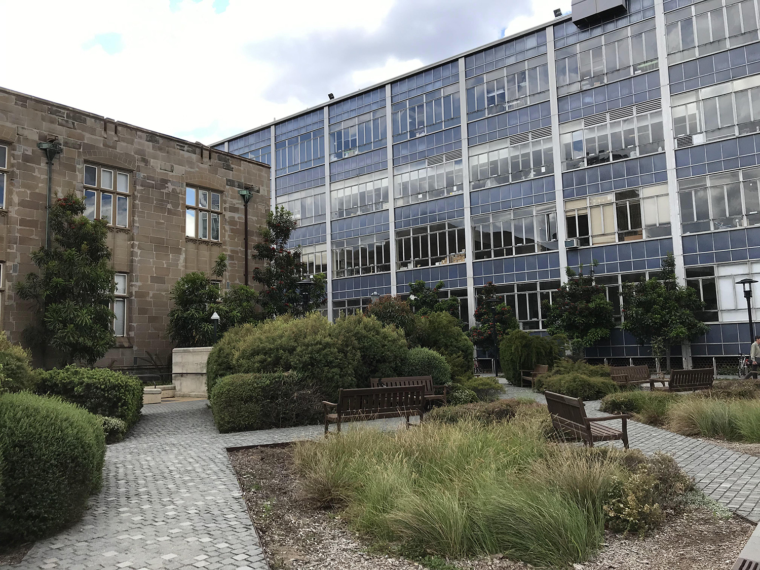悉尼大学本科申请