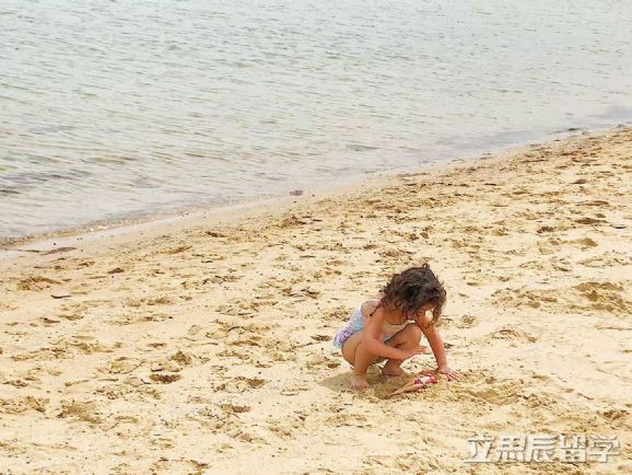 莫纳什大学如何申请