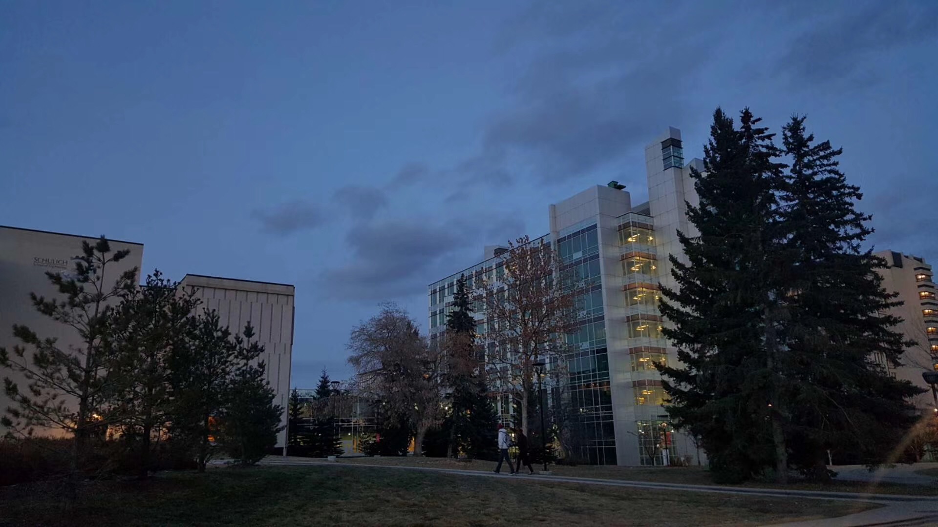 卡尔加里大学金融专业