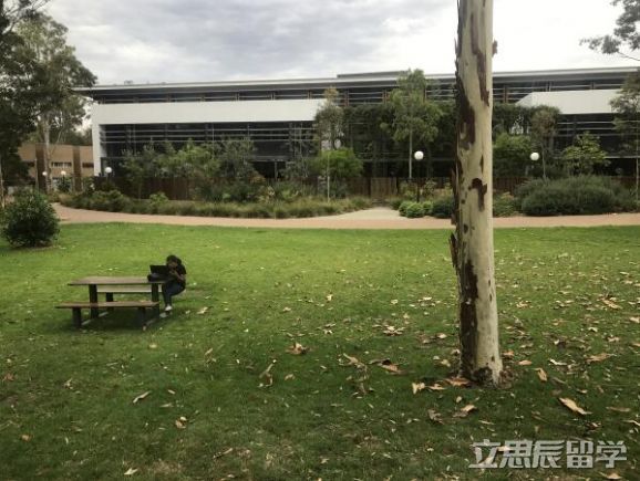 澳洲卧龙岗大学学费