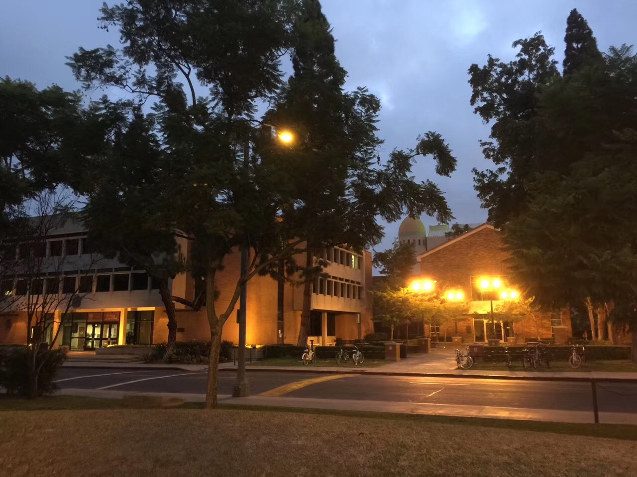 佛罗里达州立大学研究生