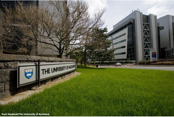 奥克兰大学商科就业