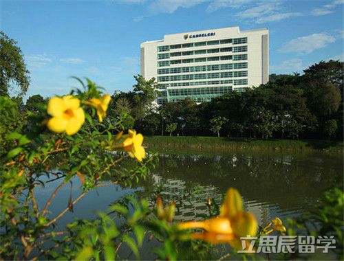 马来亚大学gpa要求