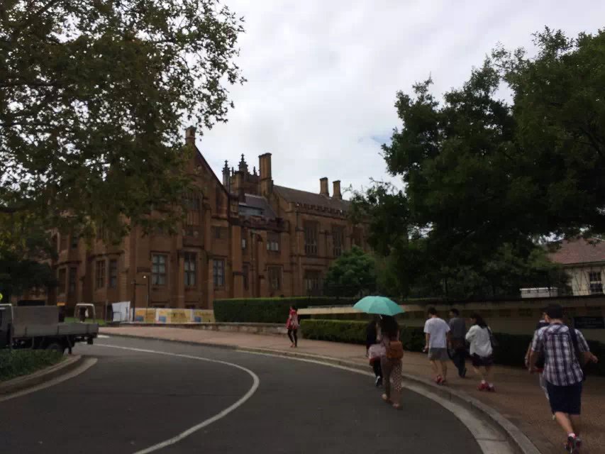 悉尼大学金融硕士就业