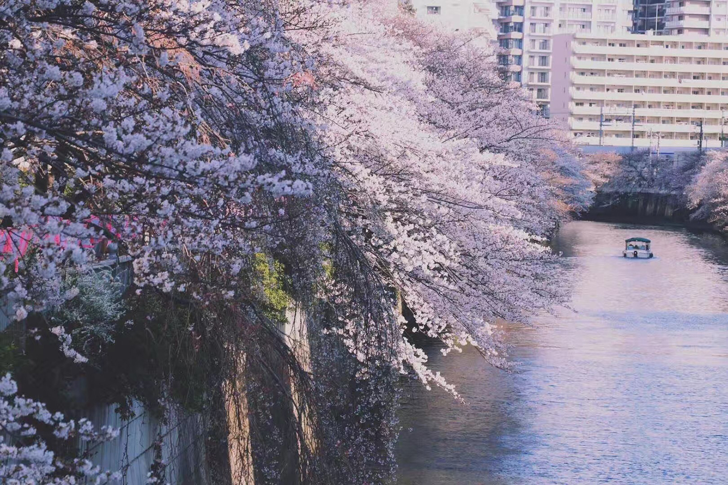 去日本留学条件