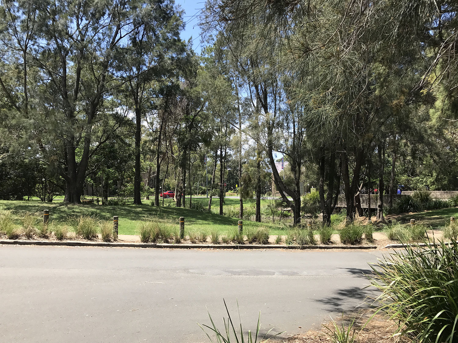 卧龙岗大学专科申请要求