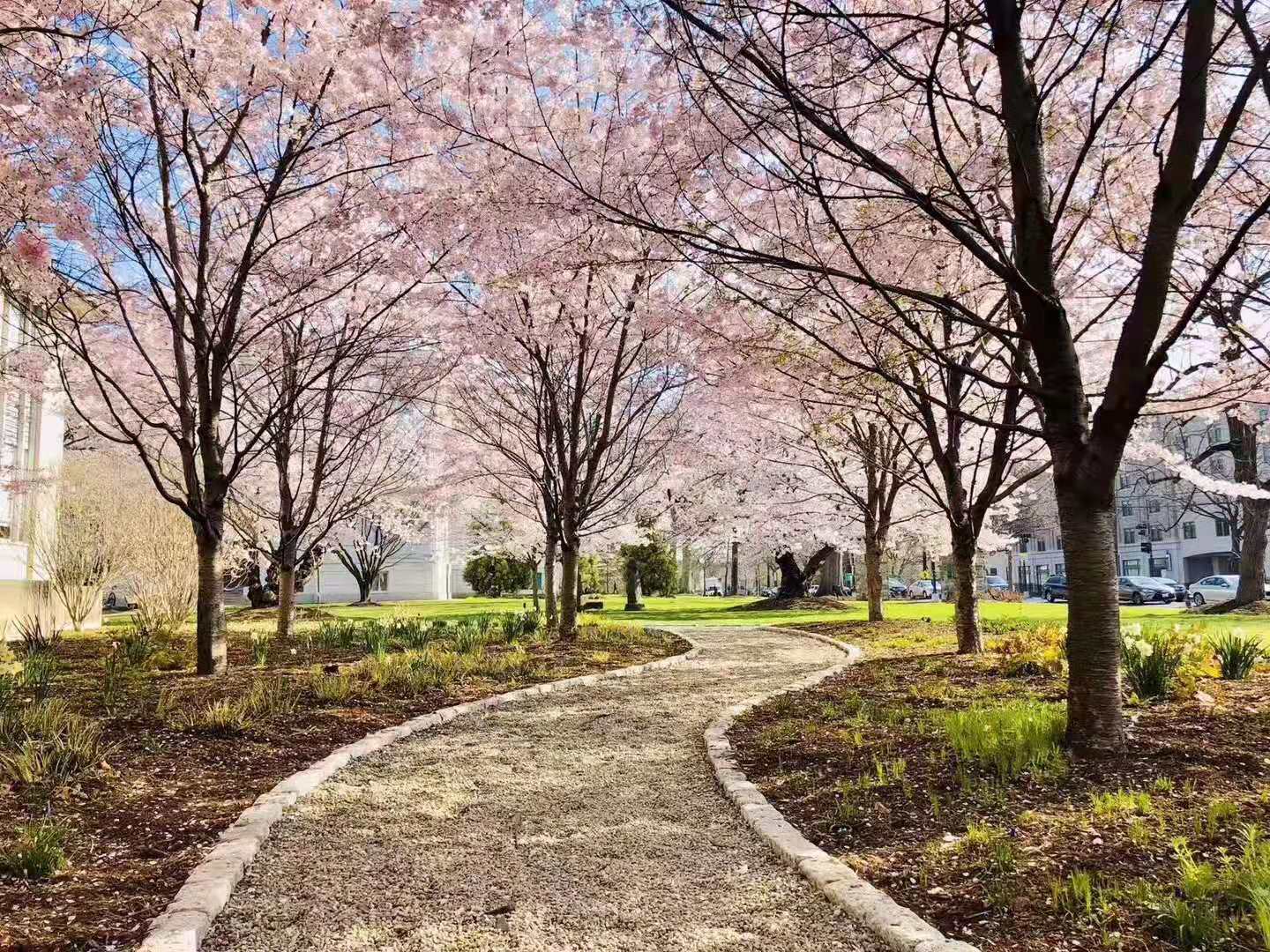 美国爱荷华大学硕士