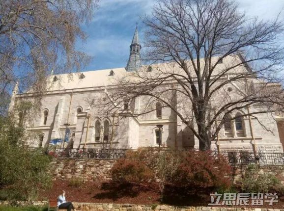阿德莱德大学毕业率