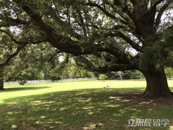 新南威尔士大学gpa要求