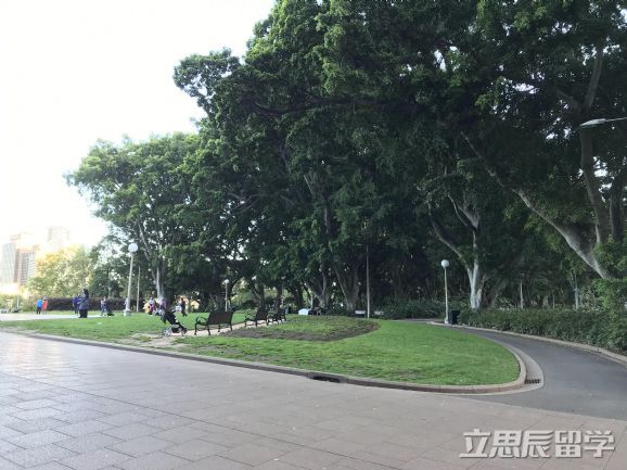 科廷大学毕业率