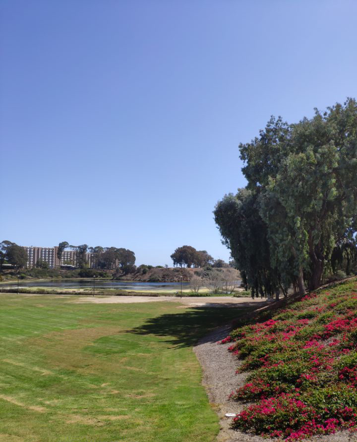 圣路易斯华盛顿大学条件