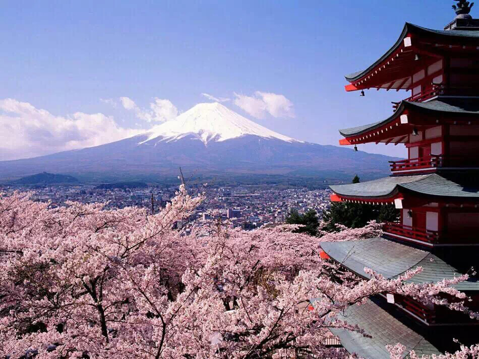 日本留学生吧