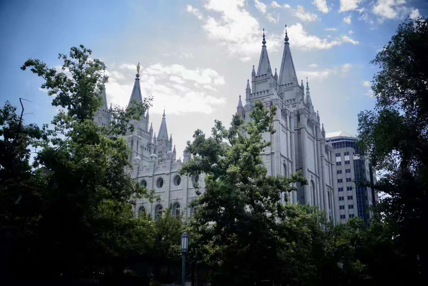 美国本科油画留学