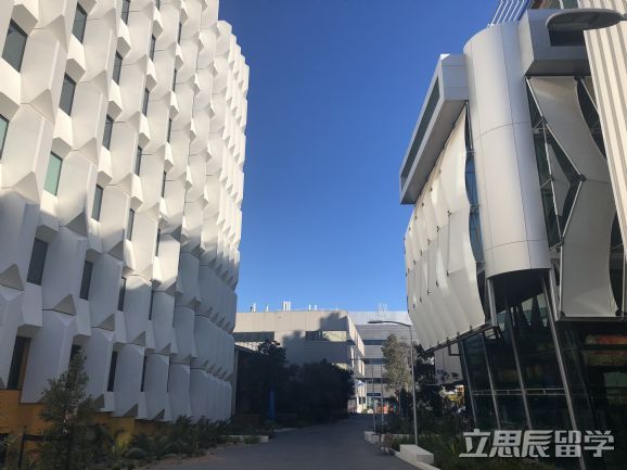 南澳大学教育学士入学要求