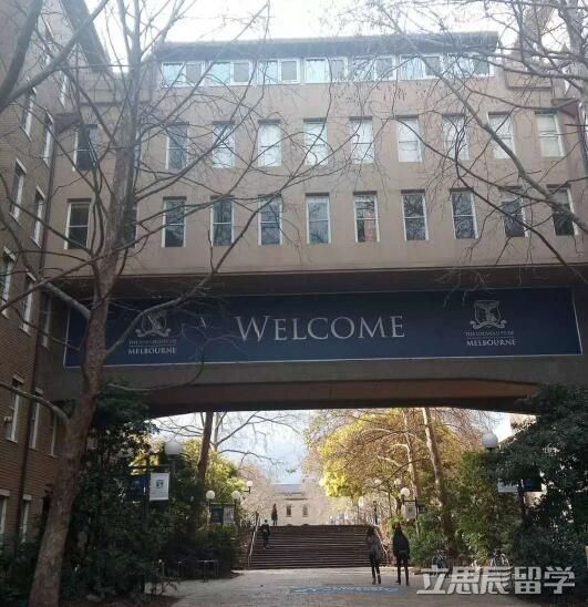 墨尔本大学预科升学率