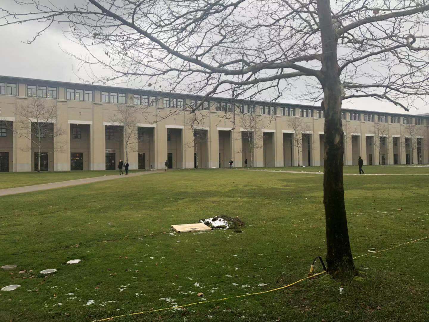 卡内基梅隆大学热门专业