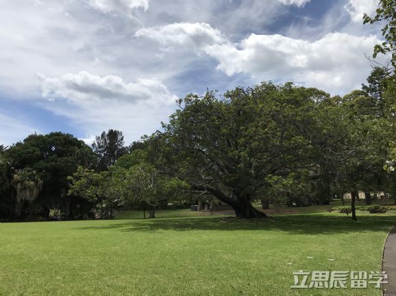 莫纳什大学申请流程