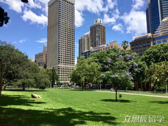 南澳大学社会工作硕士
