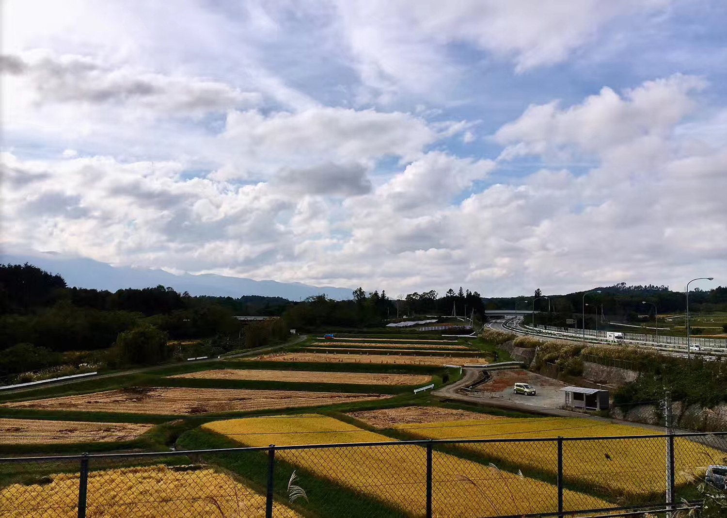 日本留学短期