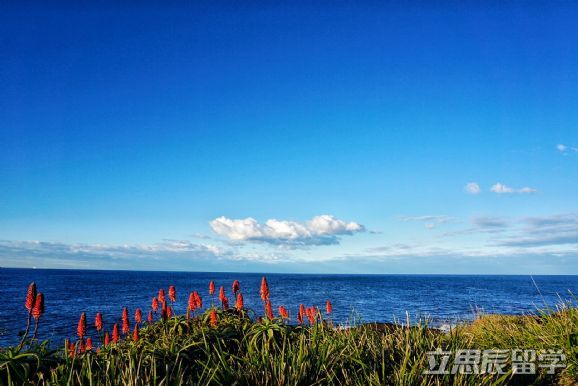莫纳什大学专业设置