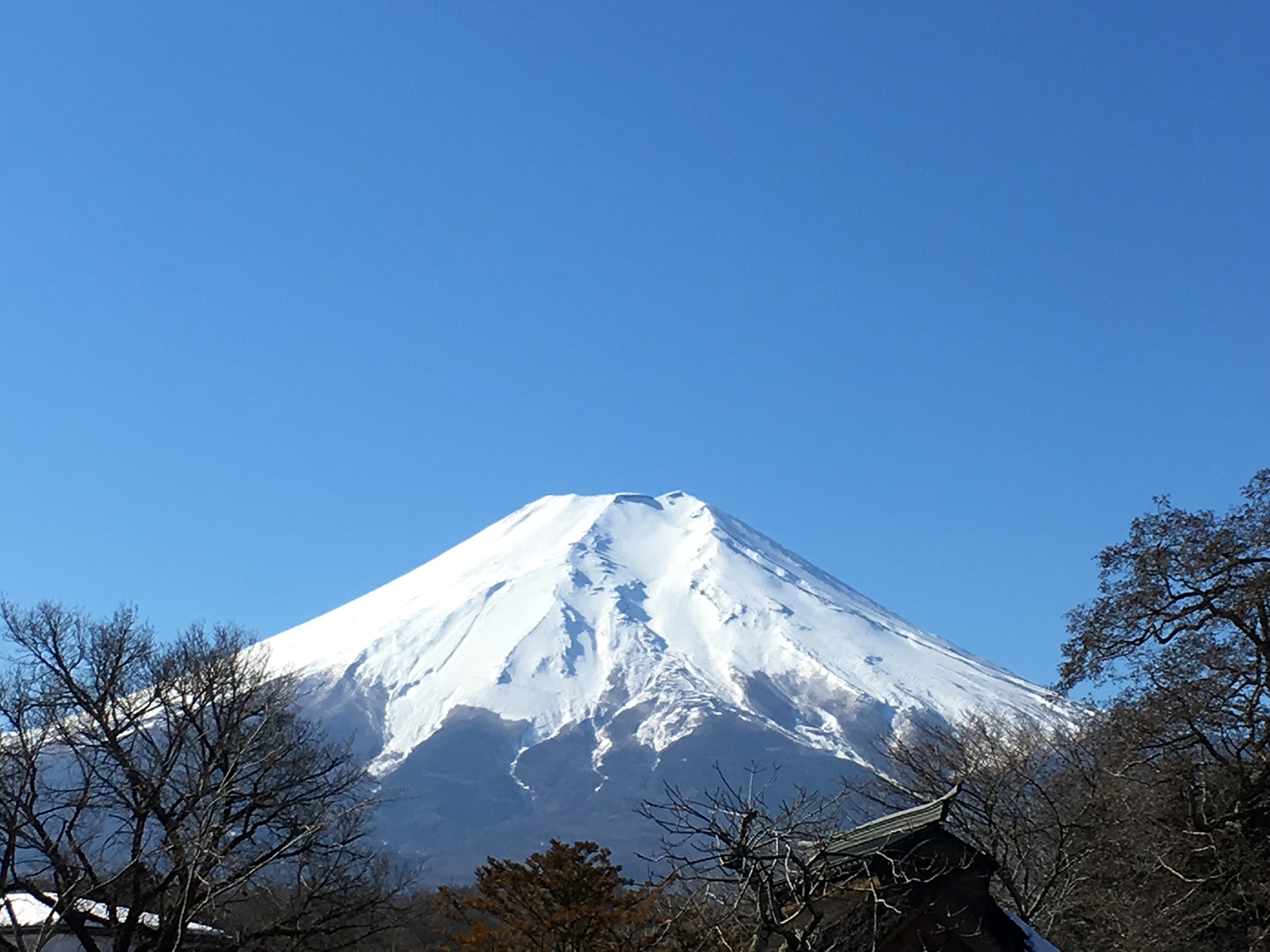日本留学材料