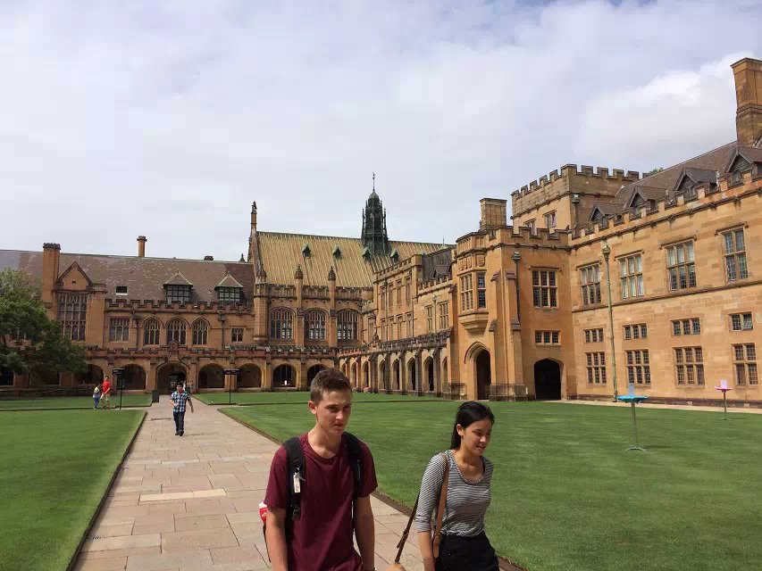 悉尼大学本科教育专业