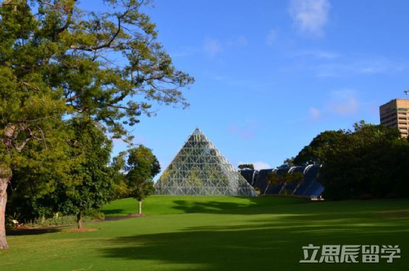 墨尔本皇家理工大学本科