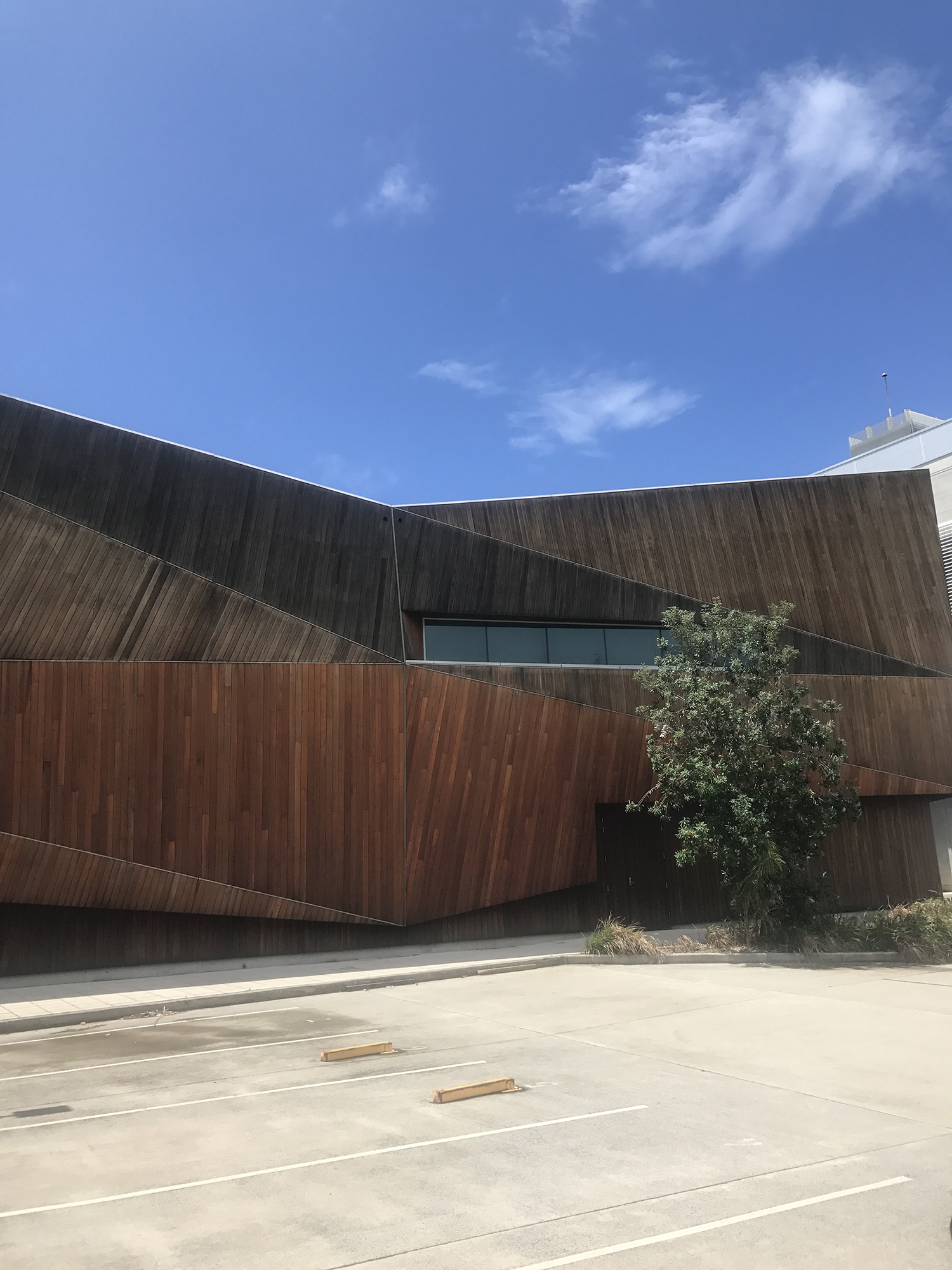 卧龙岗大学金融学