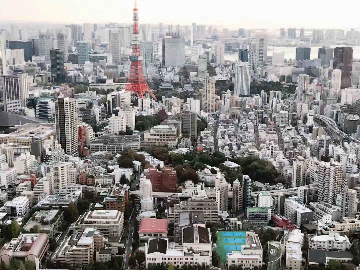 日本留学被拒