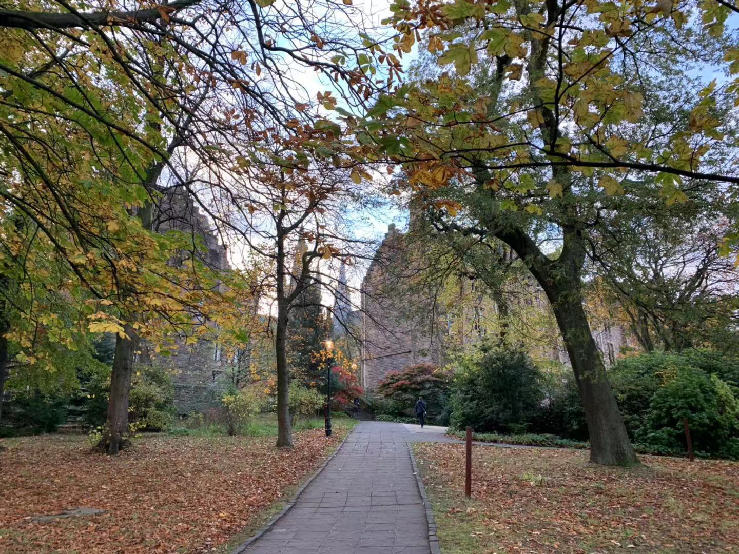 邓迪大学留学学费