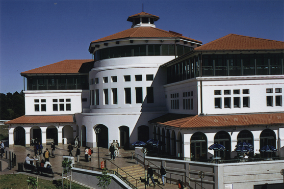 梅西大学奖学金