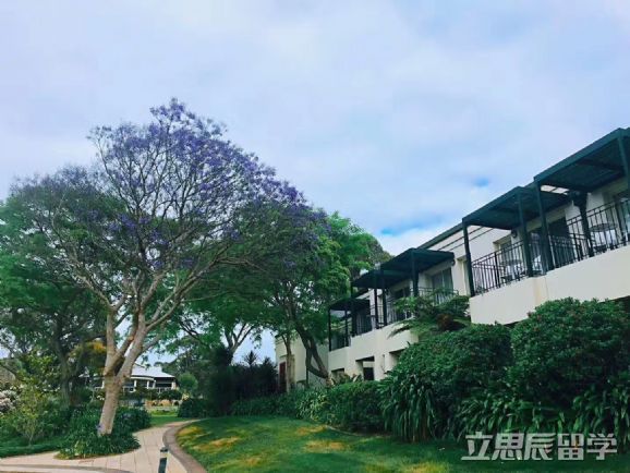 莫纳什大学研究生入学条件