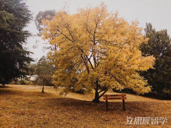 墨尔本大学申请预科条件