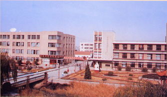 圭尔夫大学报名