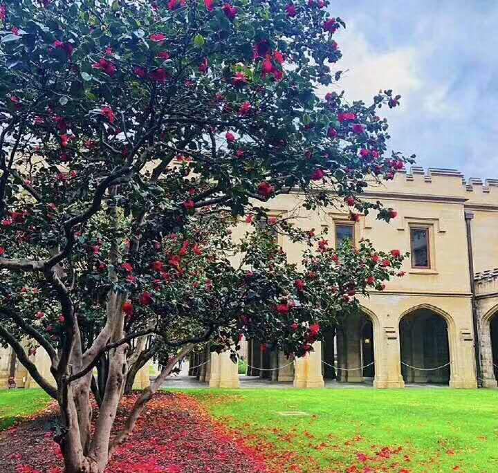 墨尔本大学法学院申请