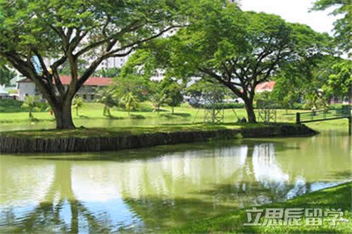 马来西亚理科大学研究生专业