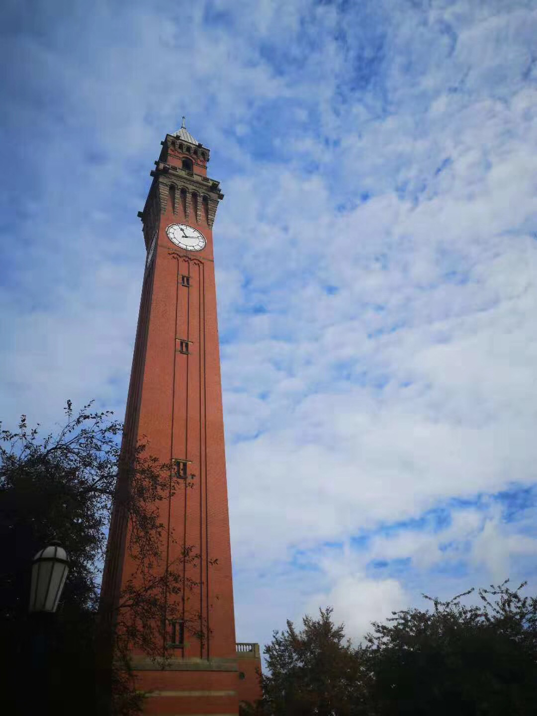 伯明翰大学热门专业