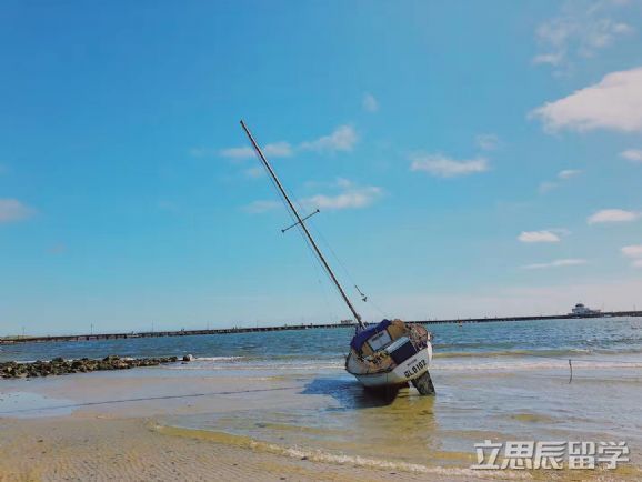 皇家墨尔本理工大学申请
