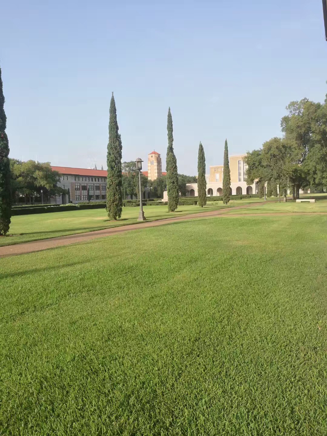 莱斯大学音乐专业