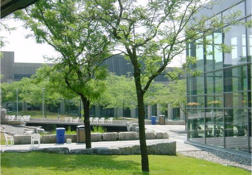 申请布鲁克大学