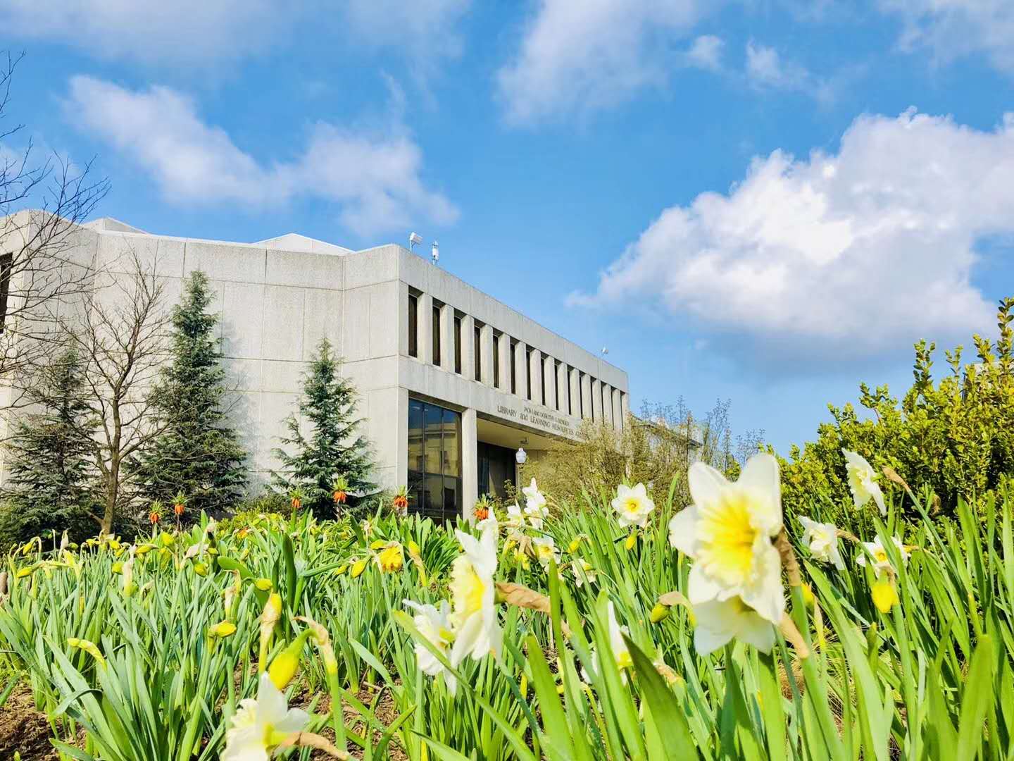 纽约州立大学水牛城分校研究生申请