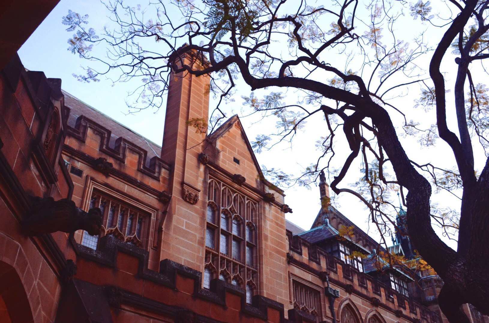 悉尼大学金融
