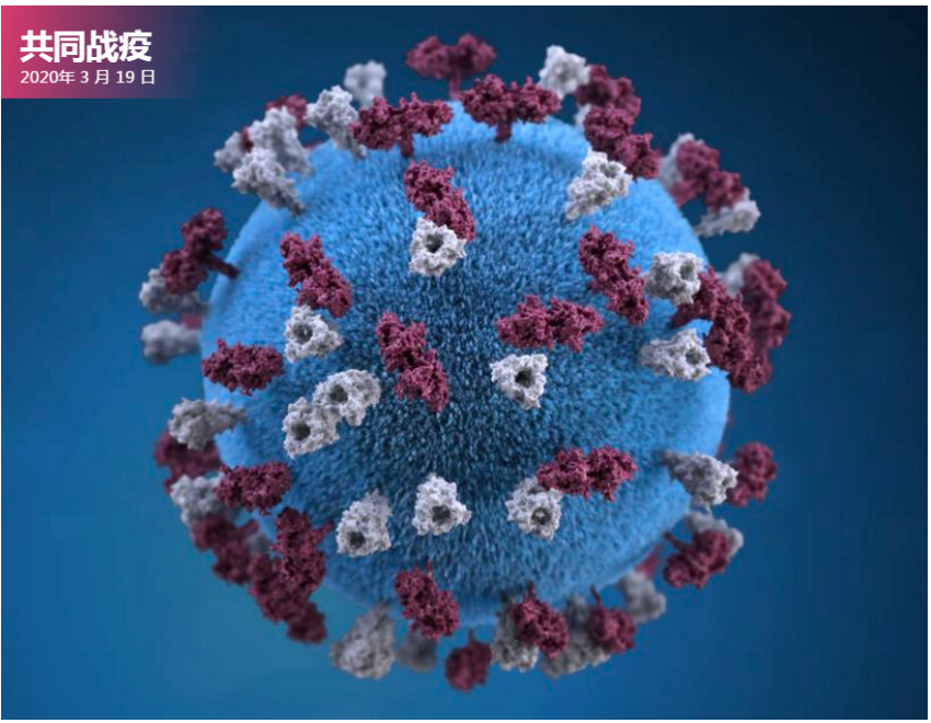 抗击新冠病毒肺炎(COVID-19)疫情  新西兰进一步强化边境措施