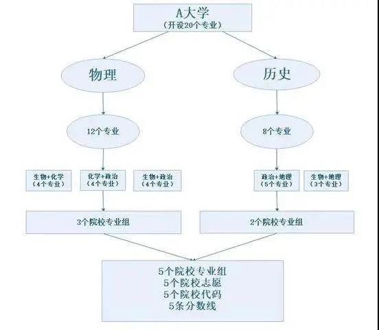 2021年八省联考，史上最大规模：参考人数、内容要点、选科数据