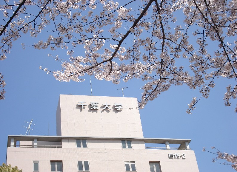 日本拥有高水平学部学科的综合大学 —— 千叶大学