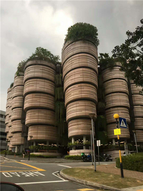 南大李光前医学院开幕后，新加坡三大医学院“鼎足而立”！