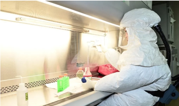 朱拉隆功大学启动新冠疫苗研发进入动物实验
